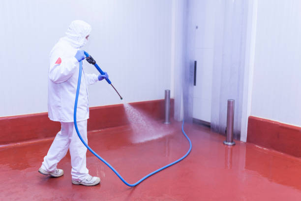 Best Driveway Pressure Washing  in Moorestown Lenola, NJ